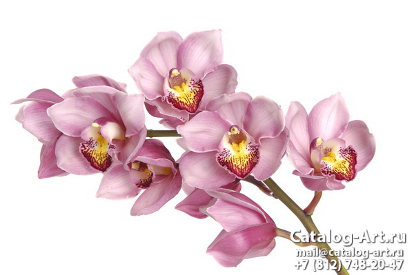 Натяжные потолки с фотопечатью - Розовые орхидеи 39